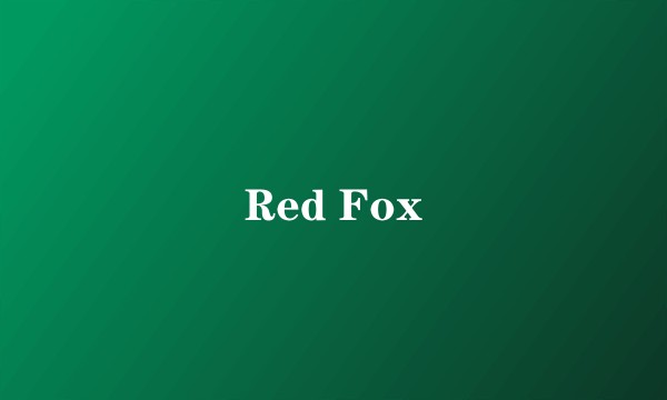 Red Fox
