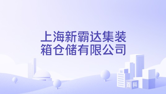 上海新霸达集装箱仓储有限公司