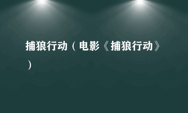 捕狼行动（电影《捕狼行动》）