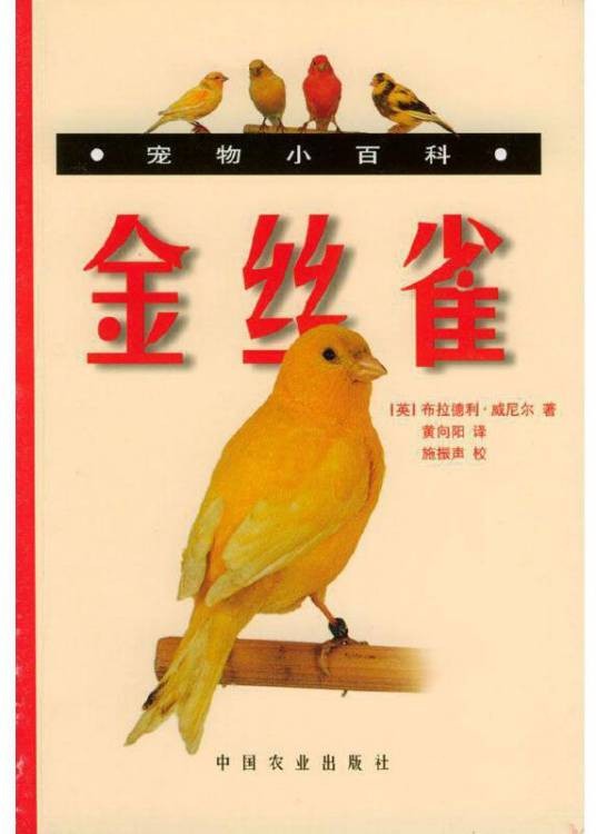 宠物小百科金丝雀