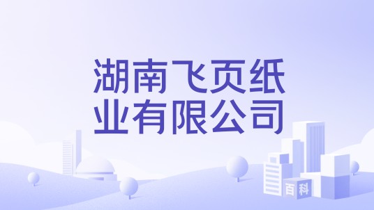 湖南飞页纸业有限公司