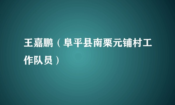 王嘉鹏（阜平县南栗元铺村工作队员）