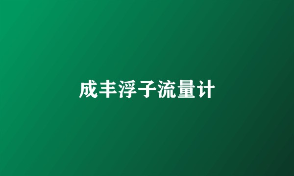 成丰浮子流量计