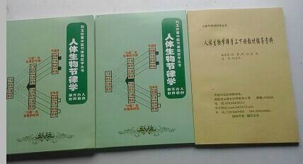人体生物节律