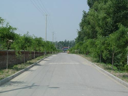 唐家堡村（北京市延庆区延庆镇下辖村）
