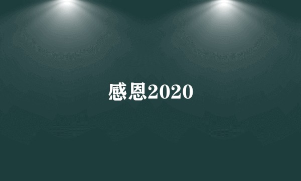 感恩2020