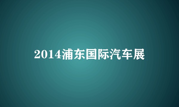 2014浦东国际汽车展