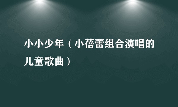 小小少年（小蓓蕾组合演唱的儿童歌曲）