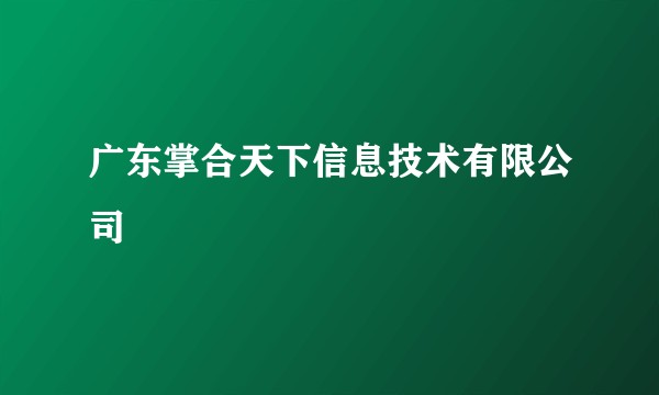 广东掌合天下信息技术有限公司