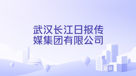 武汉长江日报传媒集团有限公司