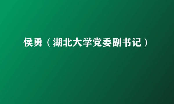 侯勇（湖北大学党委副书记）