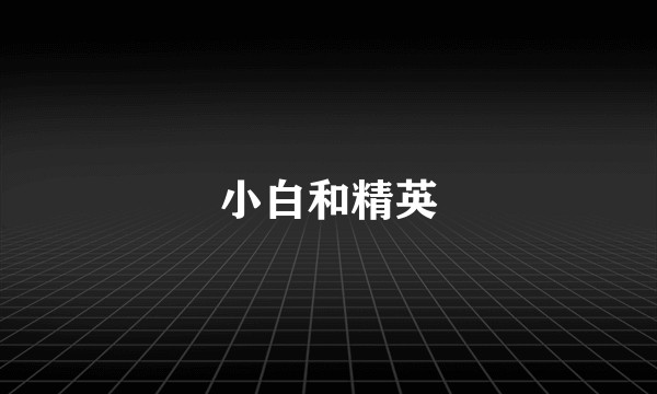 小白和精英