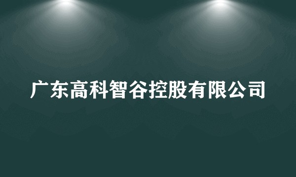 广东高科智谷控股有限公司