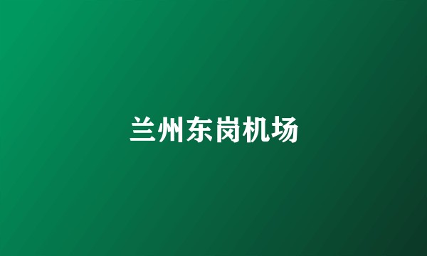 兰州东岗机场