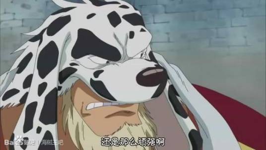 达尔梅西亚
