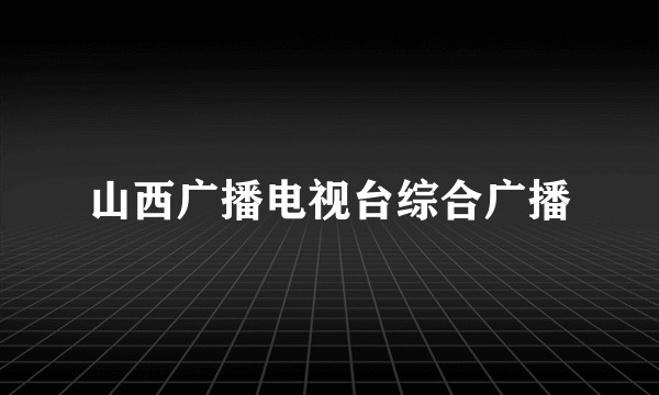 山西广播电视台综合广播