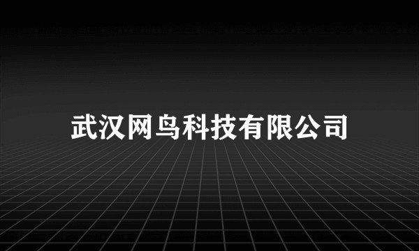 武汉网鸟科技有限公司