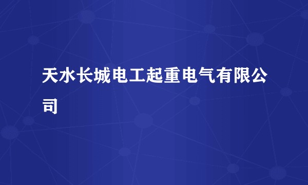 天水长城电工起重电气有限公司