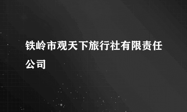 铁岭市观天下旅行社有限责任公司