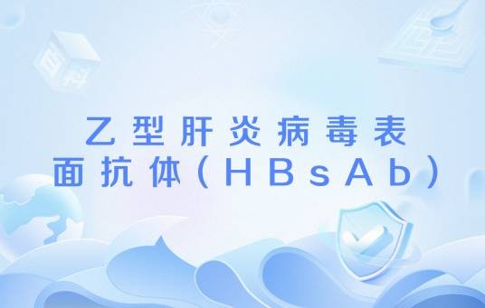乙型肝炎病毒表面抗体(HBsAb)