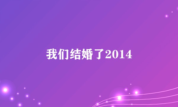 我们结婚了2014
