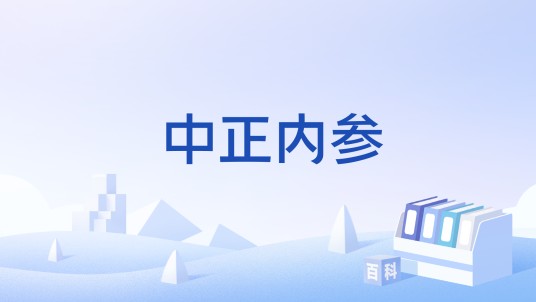 中正内参
