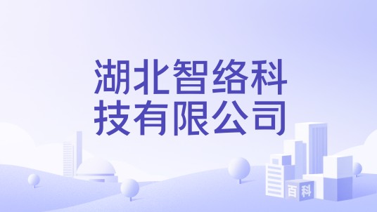 湖北智络科技有限公司