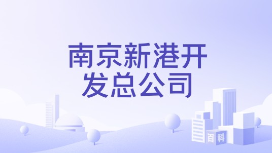 南京新港开发总公司
