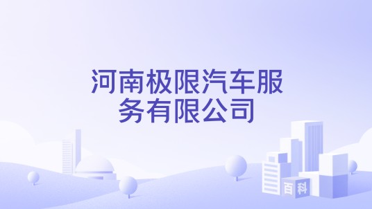 河南极限汽车服务有限公司