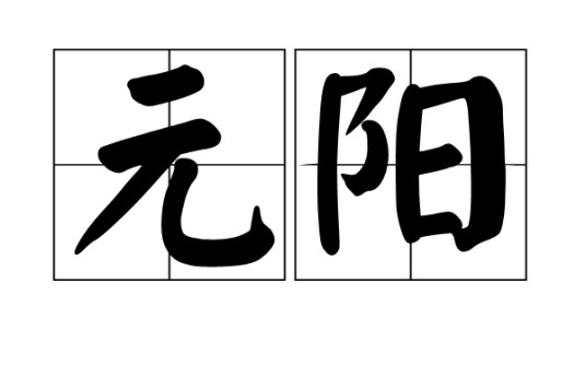 元阳(中医学术语)