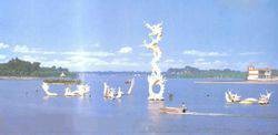 龙湖（河南省淮阳区所辖湖泊）