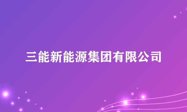 三能新能源集团有限公司