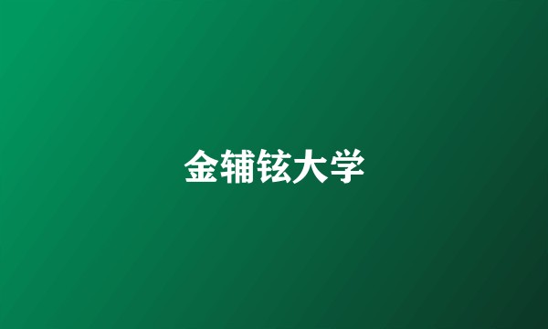 金辅铉大学