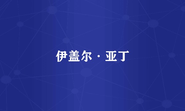 伊盖尔·亚丁