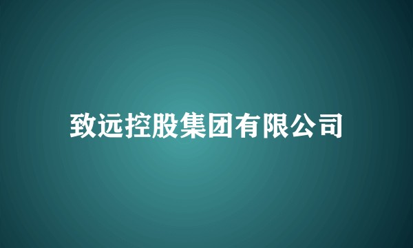 致远控股集团有限公司