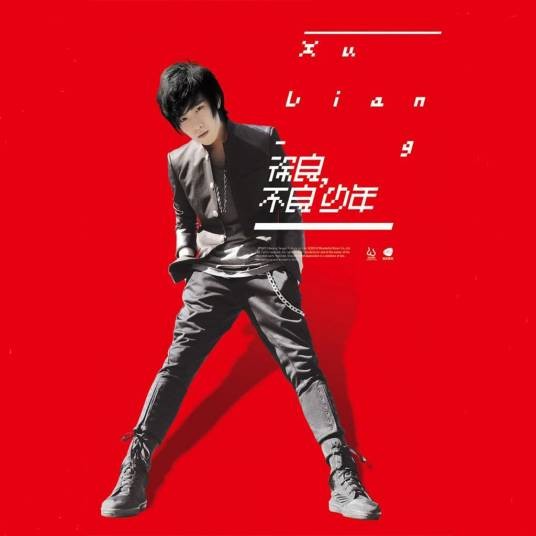 不良(2011年徐良演唱的歌曲)