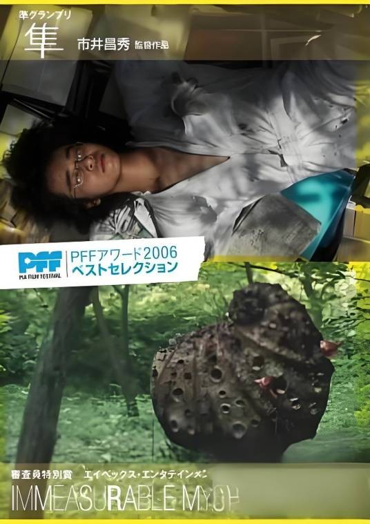 隼（日本2005年市井昌秀执导的电影）