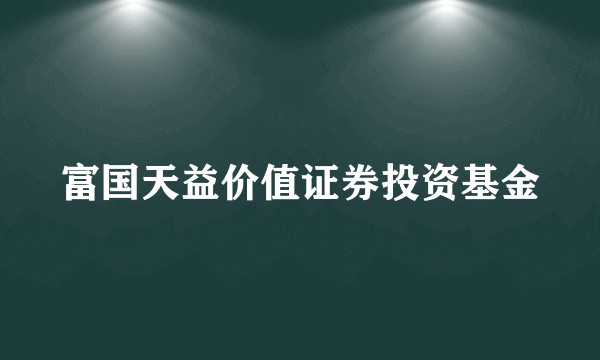富国天益价值证券投资基金