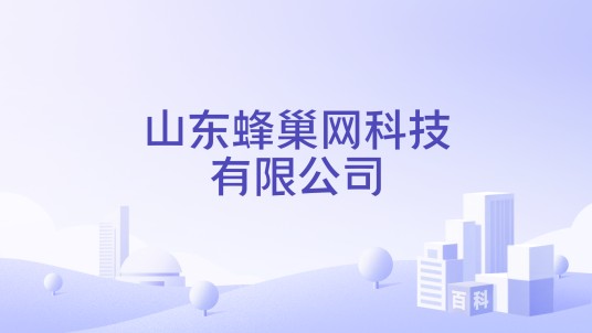 山东蜂巢网科技有限公司