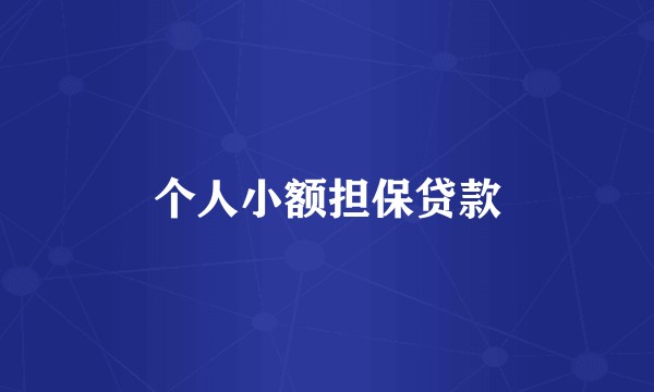 个人小额担保贷款