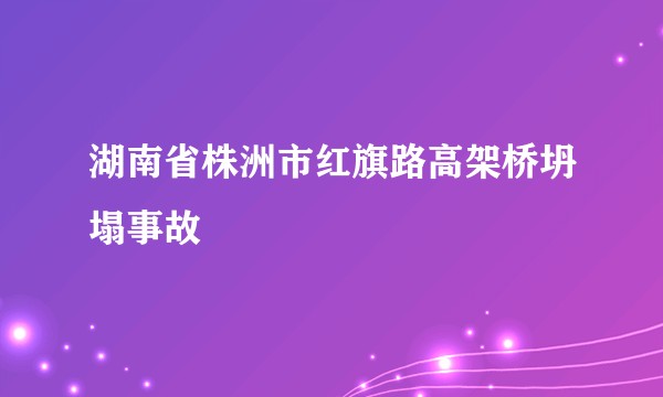 湖南省株洲市红旗路高架桥坍塌事故