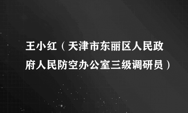 王小红（天津市东丽区人民政府人民防空办公室三级调研员）