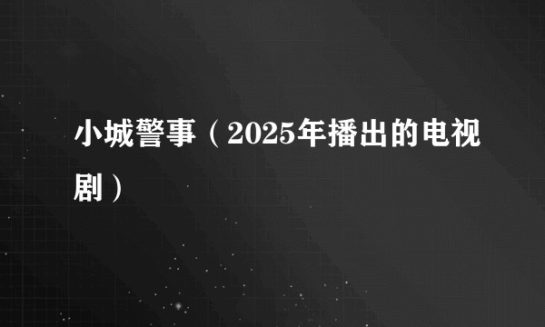 小城警事（2025年播出的电视剧）