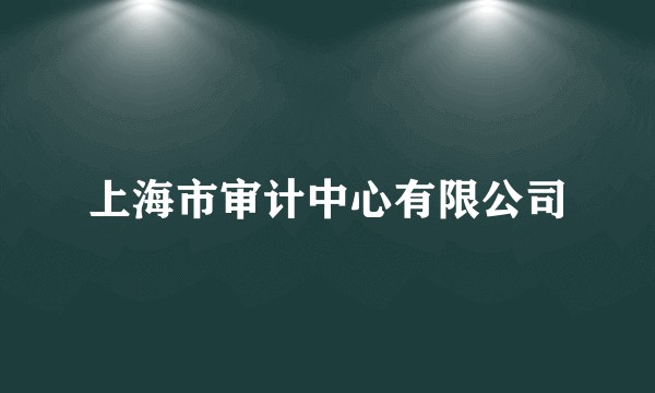 上海市审计中心有限公司