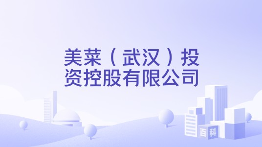 美菜（武汉）投资控股有限公司