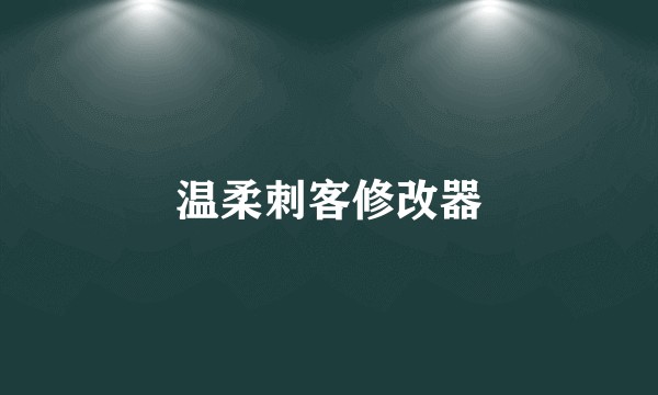温柔刺客修改器