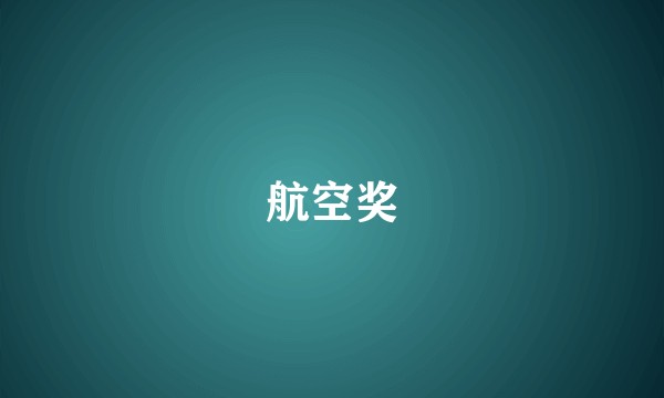 航空奖