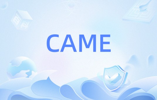 CAME（教育术语）