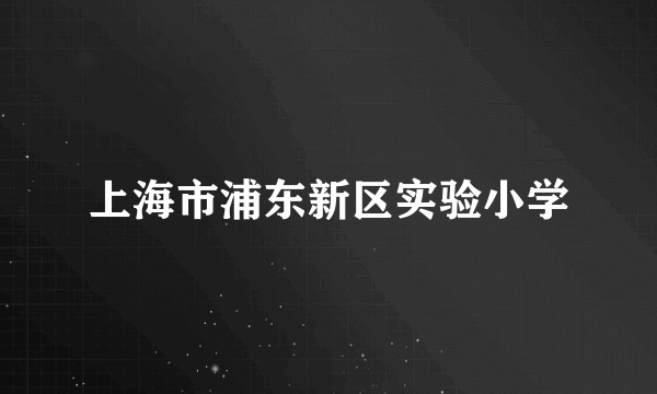 上海市浦东新区实验小学