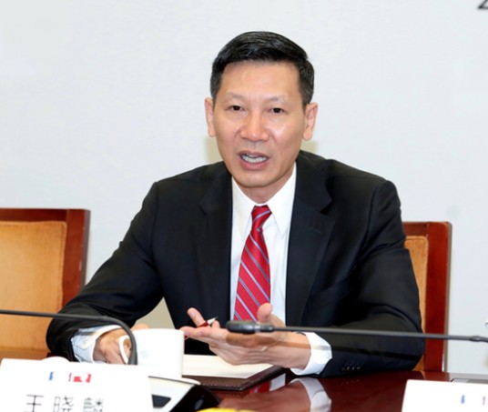王晓麟（中国江苏赛麟前董事长、前首席执行官）